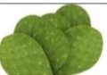 Nopal limpio