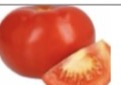 Tomate bola fresco