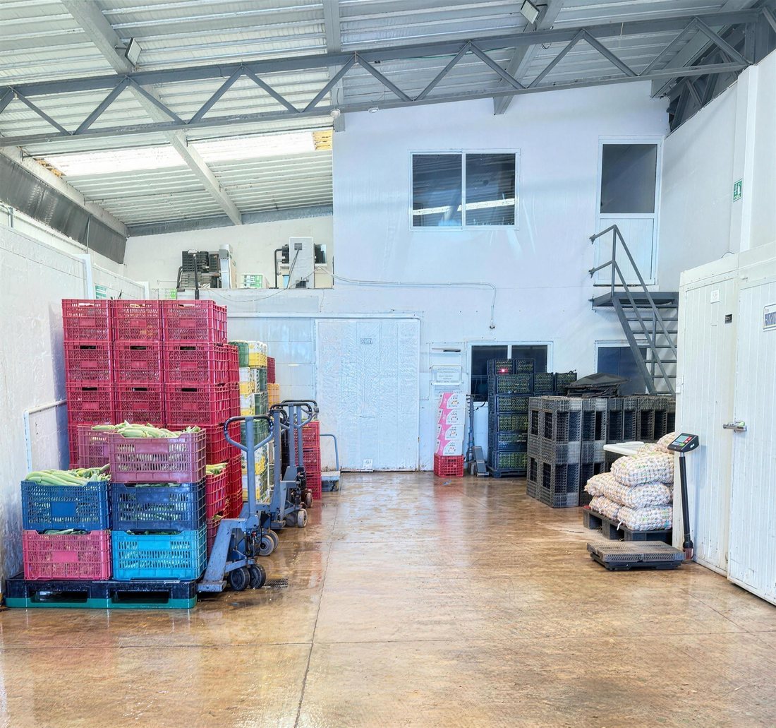 Bodega real de AGL Produce en Playa del Carmen con cajas de elote, ajo y cebolla listas para distribución